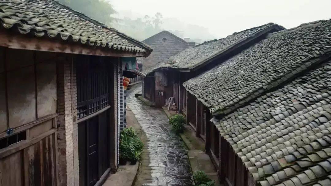 88影视
